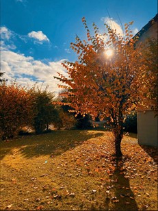 Read more about the article SZ: Wettbewerb Herbst