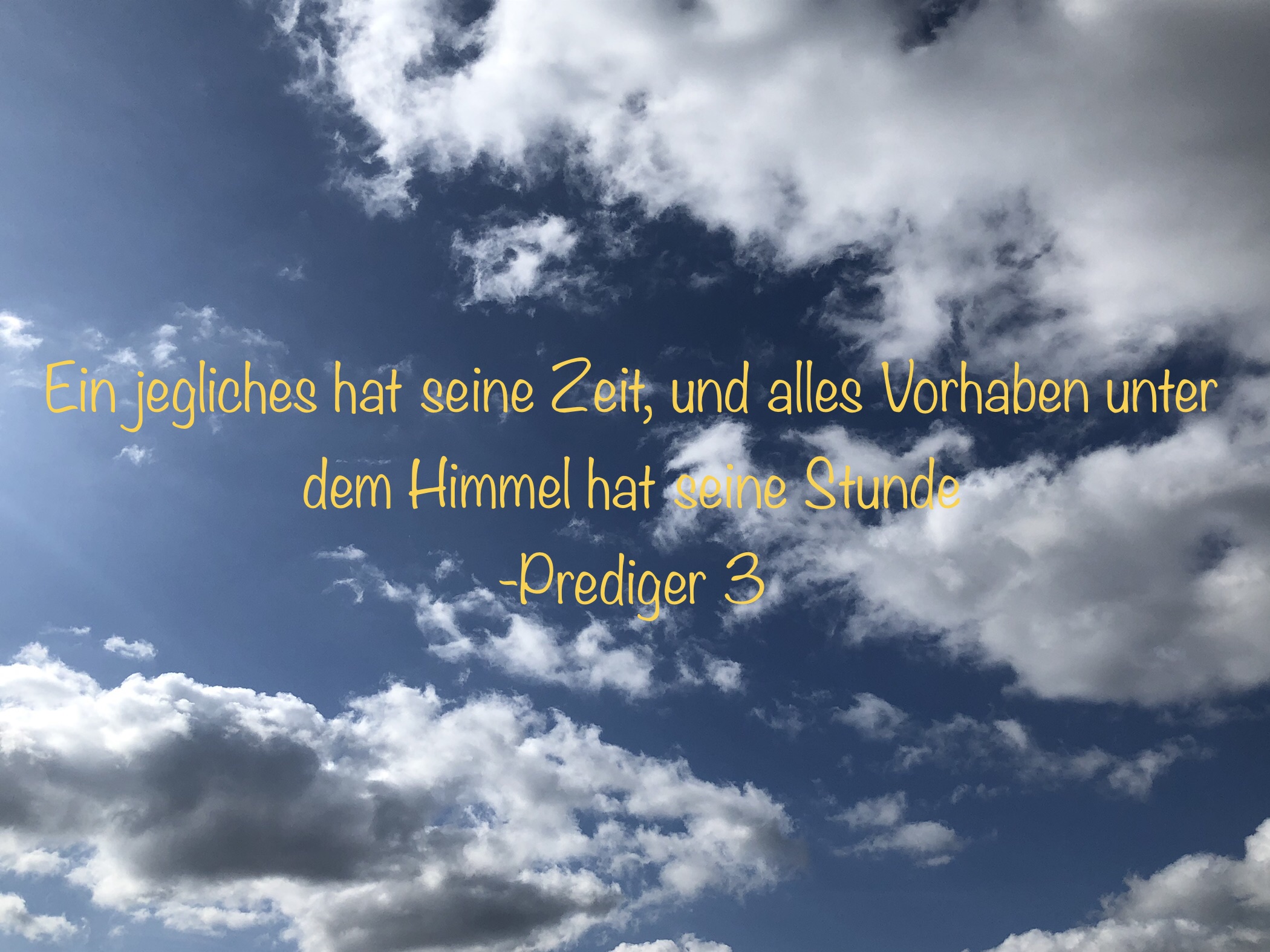 Read more about the article Foto-Projekt des 10er Religionskurses