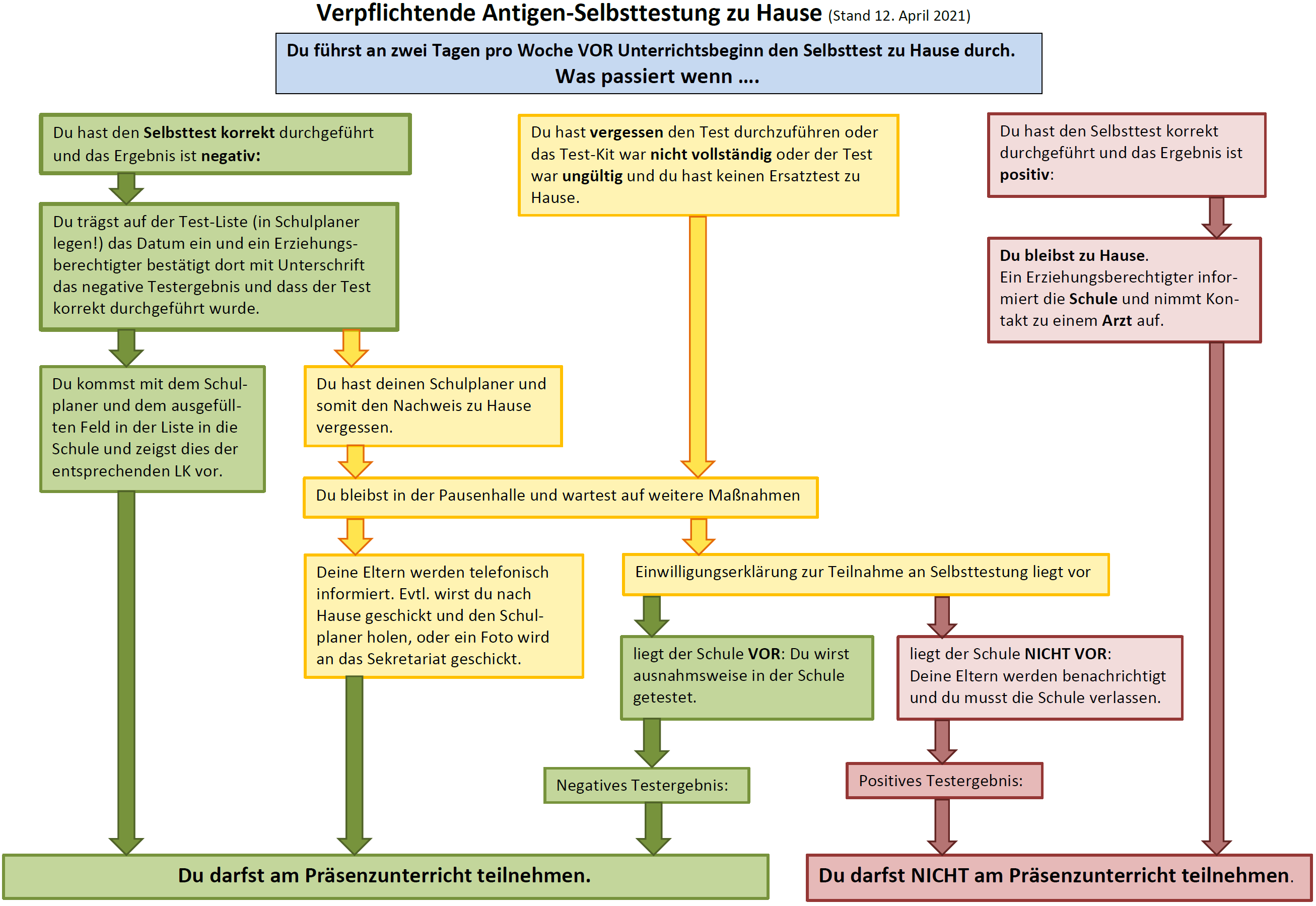 Read more about the article Info-Schaubild: Selbsttestung – Was passiert, wenn …