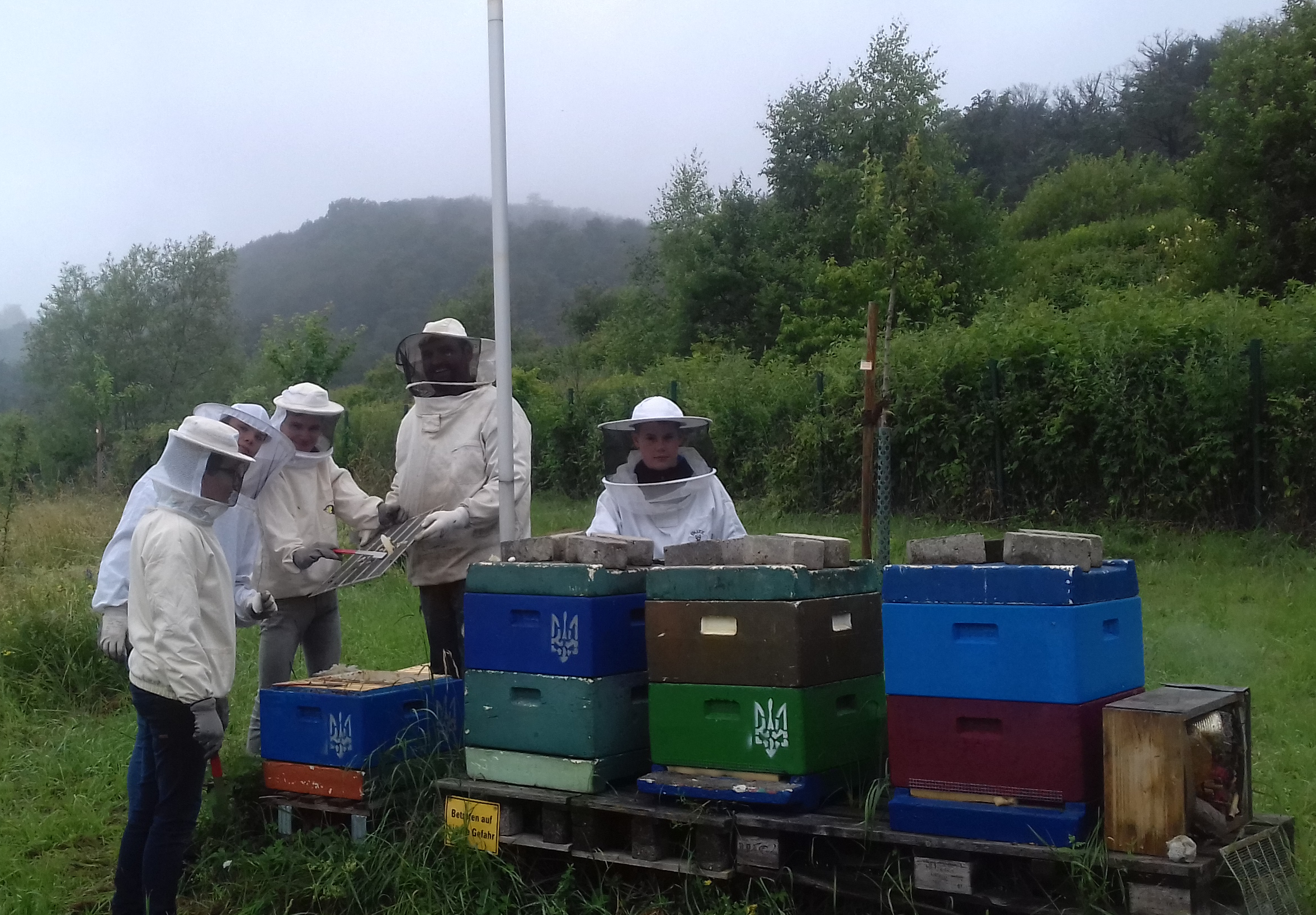 Read more about the article Bienen AG im Einsatz